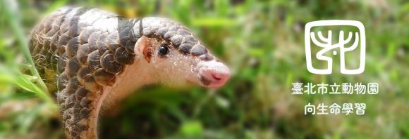 不要向生命說再見-翻轉瀕危動物趨勢行動特展
